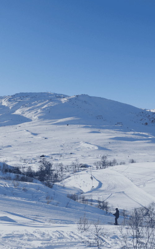 Stavtjørn Alpin