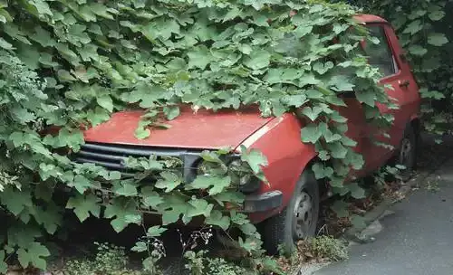 Bilgjenvinning